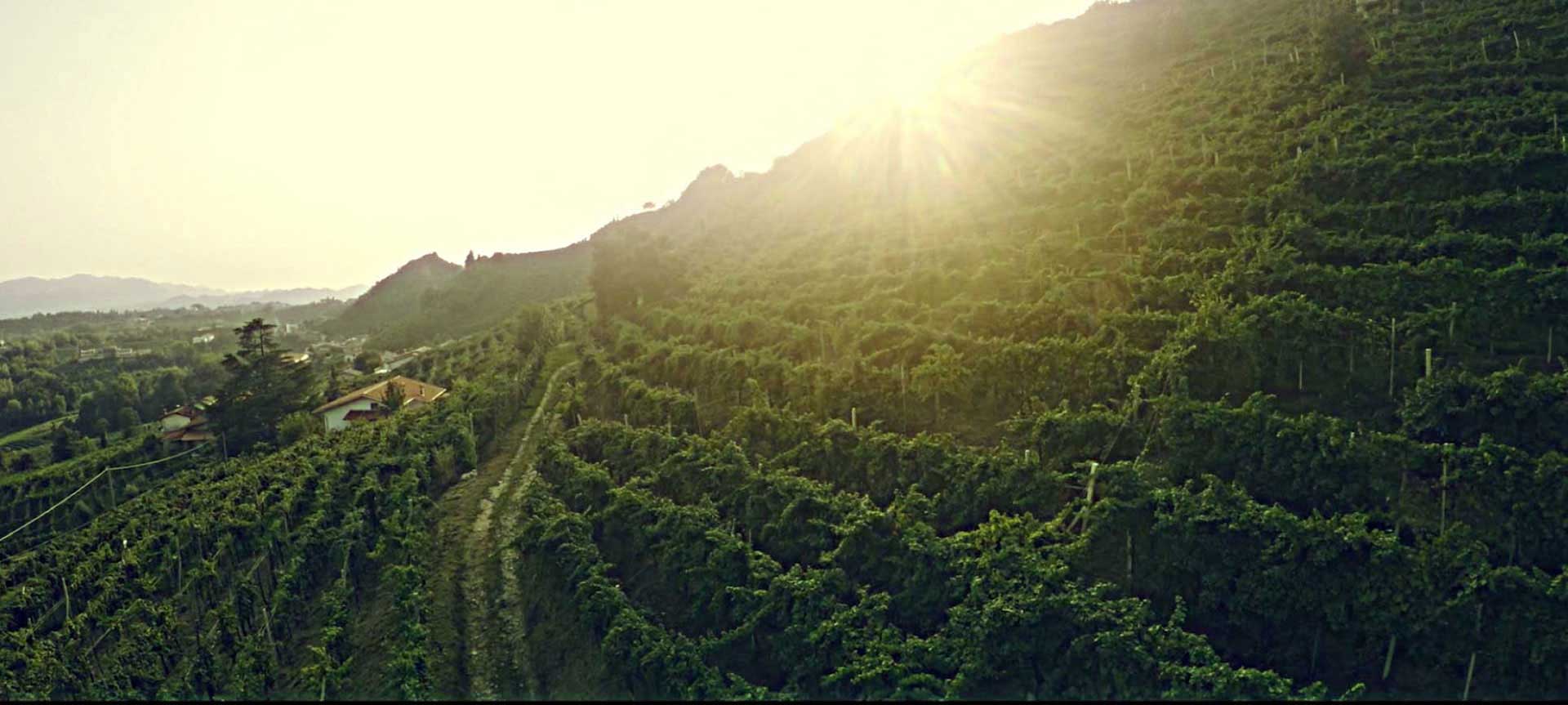 I HJÄRTAT AV PROSECCO